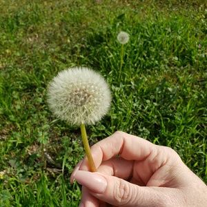 Meet your Posher, Deborah